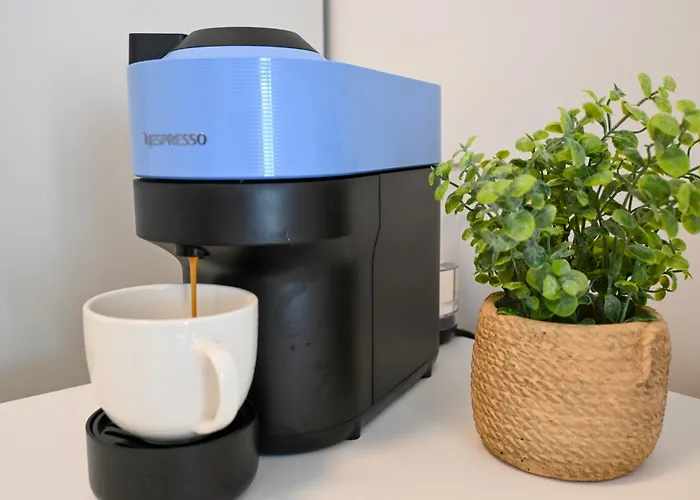 Zora Panoramic View 4*